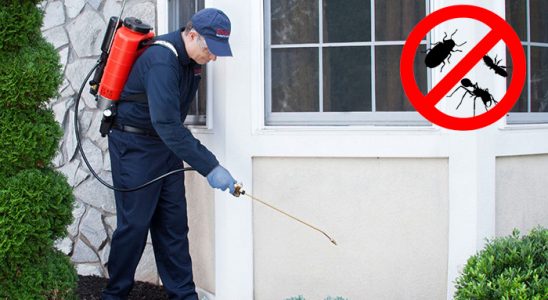 Niğde Kene İlaçlama böcek ilaçlama ve haşere kontrolü — ilaclama-tr.com